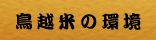 鳥越米の環境