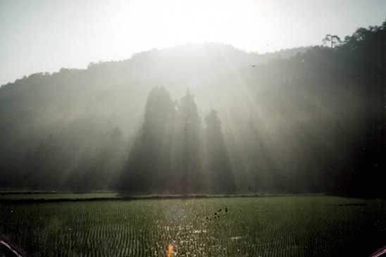 田植え後の風景