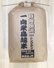 特別栽培米 コシヒカリ 10kg 玄米