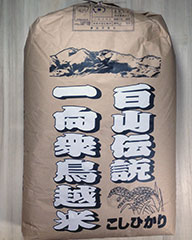 特別栽培米 コシヒカリ 30kg 玄米