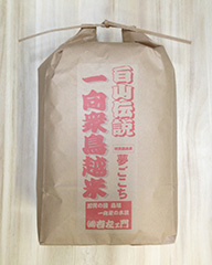 特別栽培米 夢ごこち 10kg 玄米
