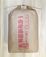 特別栽培米 夢ごこち 10kg 玄米